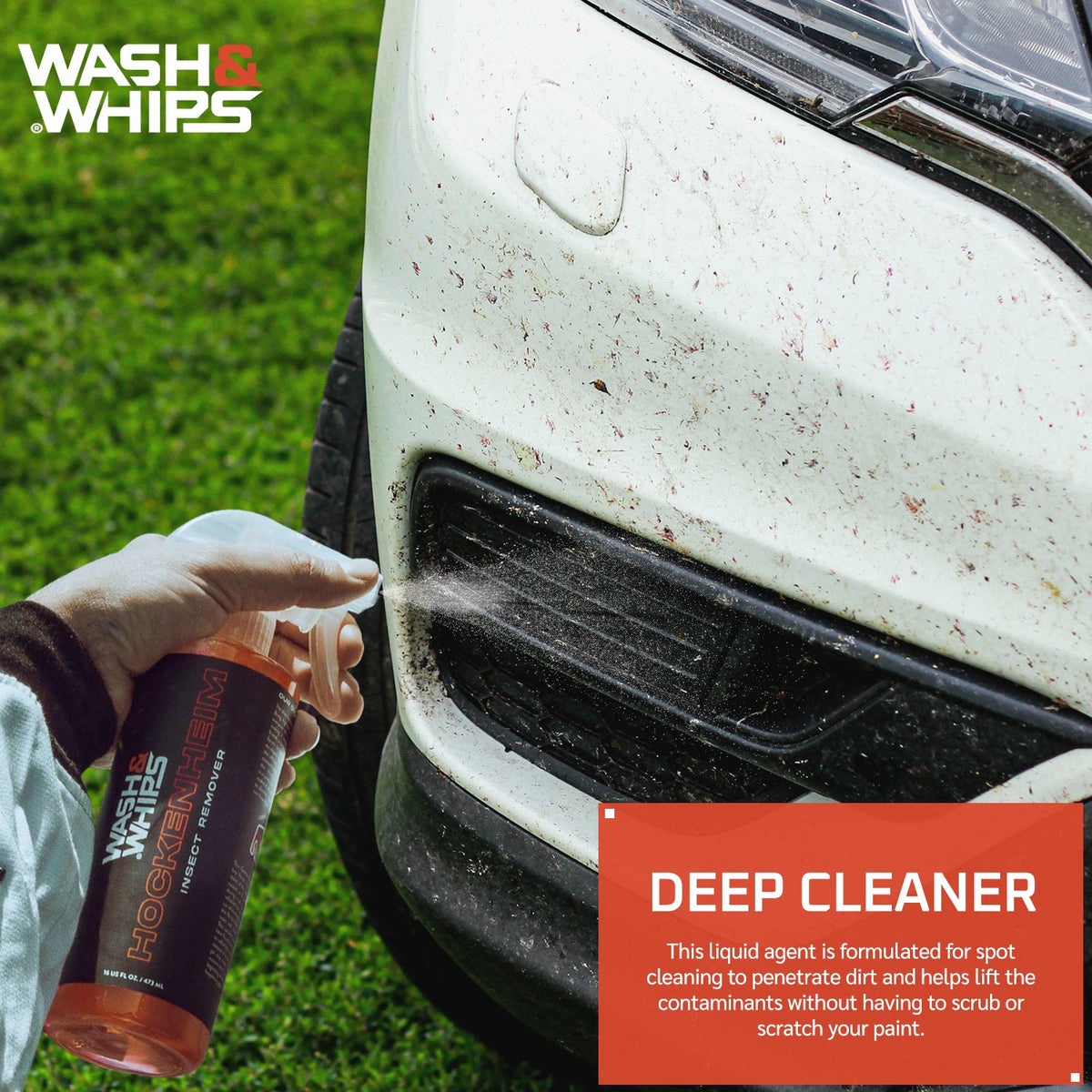 WASH&WHIPS Hockenheim Insect & Bug Removal